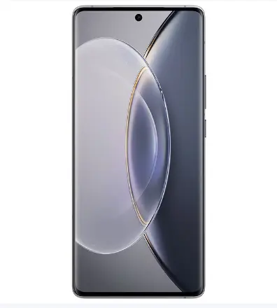 vivo X90pro(12+256G)