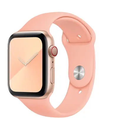 APPLE 44毫米运动款表带