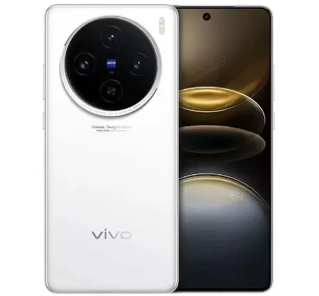 vivo X100s (16+512G)