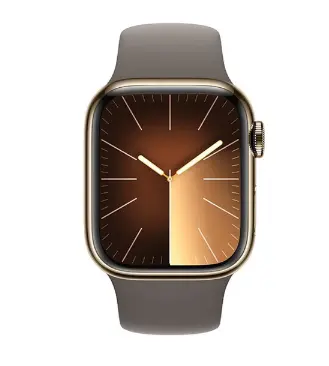 Apple Watch Series 9 智能手表GPS+蜂窝款41毫米金色不锈钢表壳陶土色运动型表带S/M