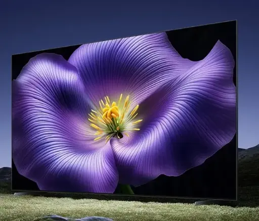 小米电视 S65 Mini LED 65英寸节能版